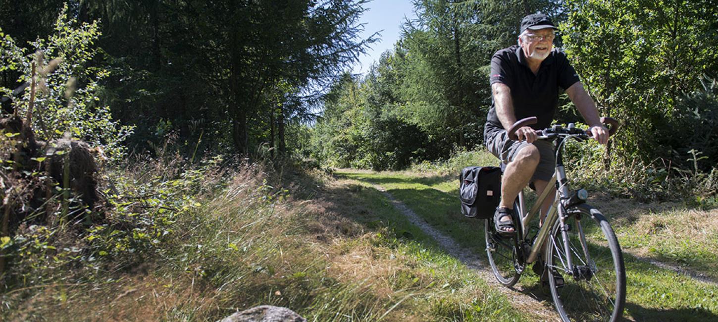 Cykelture - selvguidede ture i Vejen området