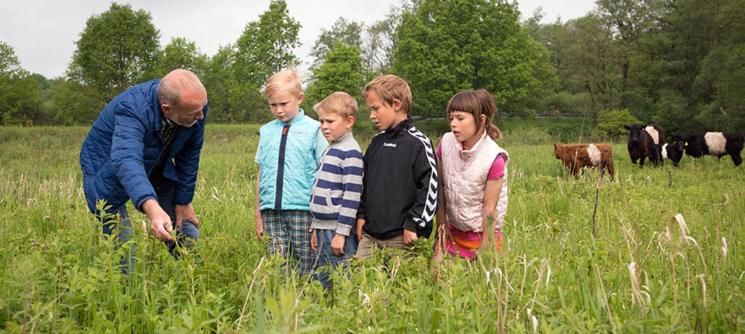 Guidet tur i naturen