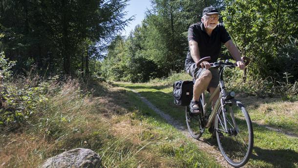 Cykelture - selvguidede ture i Vejen området