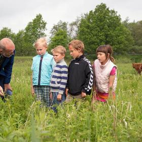 Guidet tur i naturen 